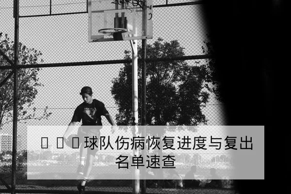CBA球队伤病恢复进度与复出名单速查